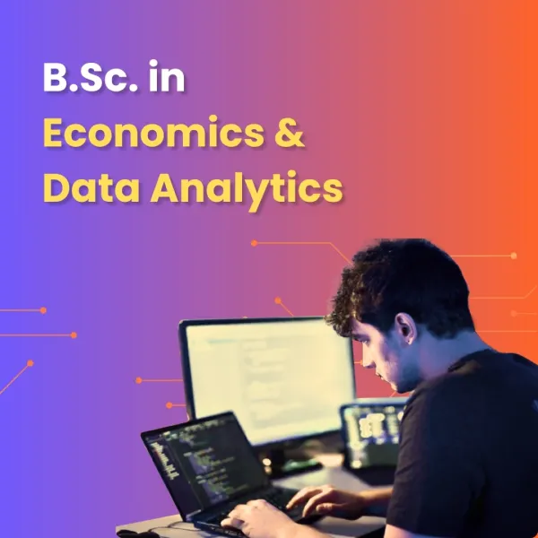 BSc Economics and Data Analytics student working on laptop analyzing data and coding for economic insights